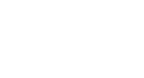 A Fundação para a Ciência e a Tecnologia